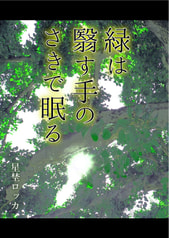 緑は翳す手のさきで眠る