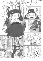 サンプル画像 No.5