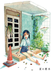 夏の標本