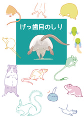 げっ歯目のしり