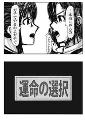 サンプル画像 No.6