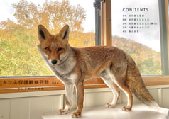 サンプル画像 No.2
