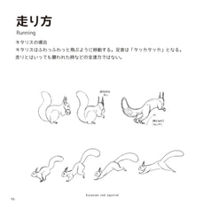 サンプル画像 No.4