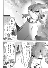 サンプル画像 No.6