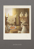 polaroids