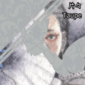 片々 / Taupe