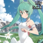 Lily / S.C.X