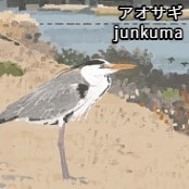 アオサギ / junkuma