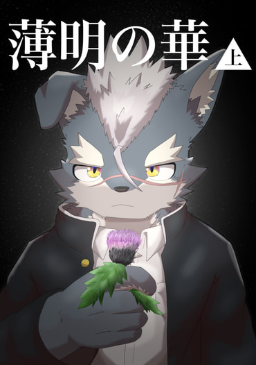 薄明の華 上