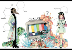 CHARAS